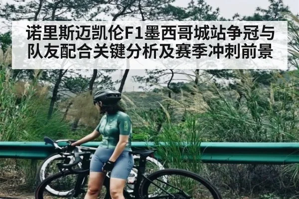 诺里斯迈凯伦F1墨西哥城站争冠与队友配合关键分析及赛季冲刺前景
